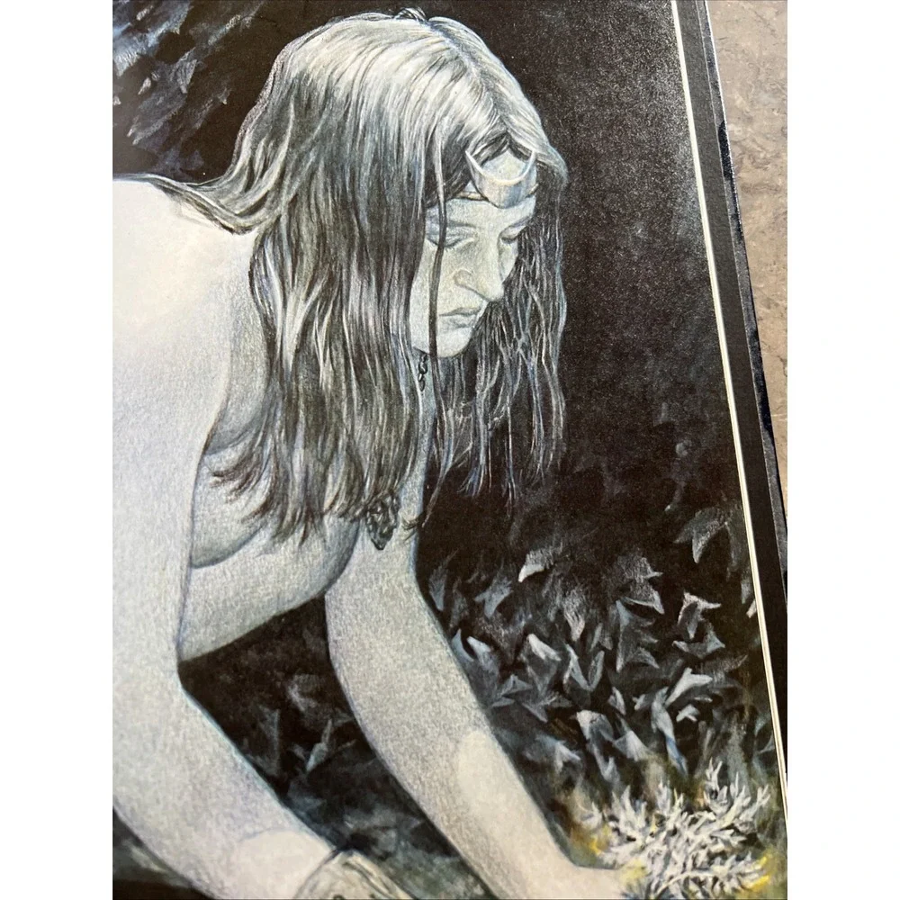 1981 Witches By Erica Jong Hardcover